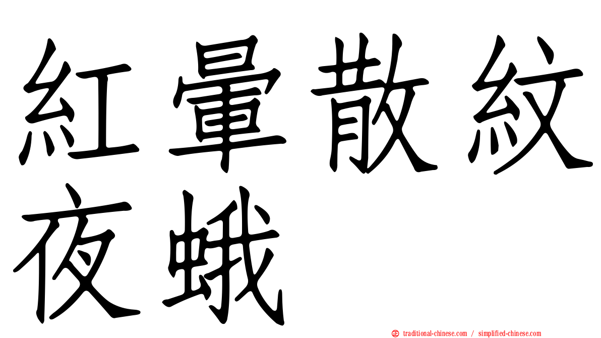 紅暈散紋夜蛾