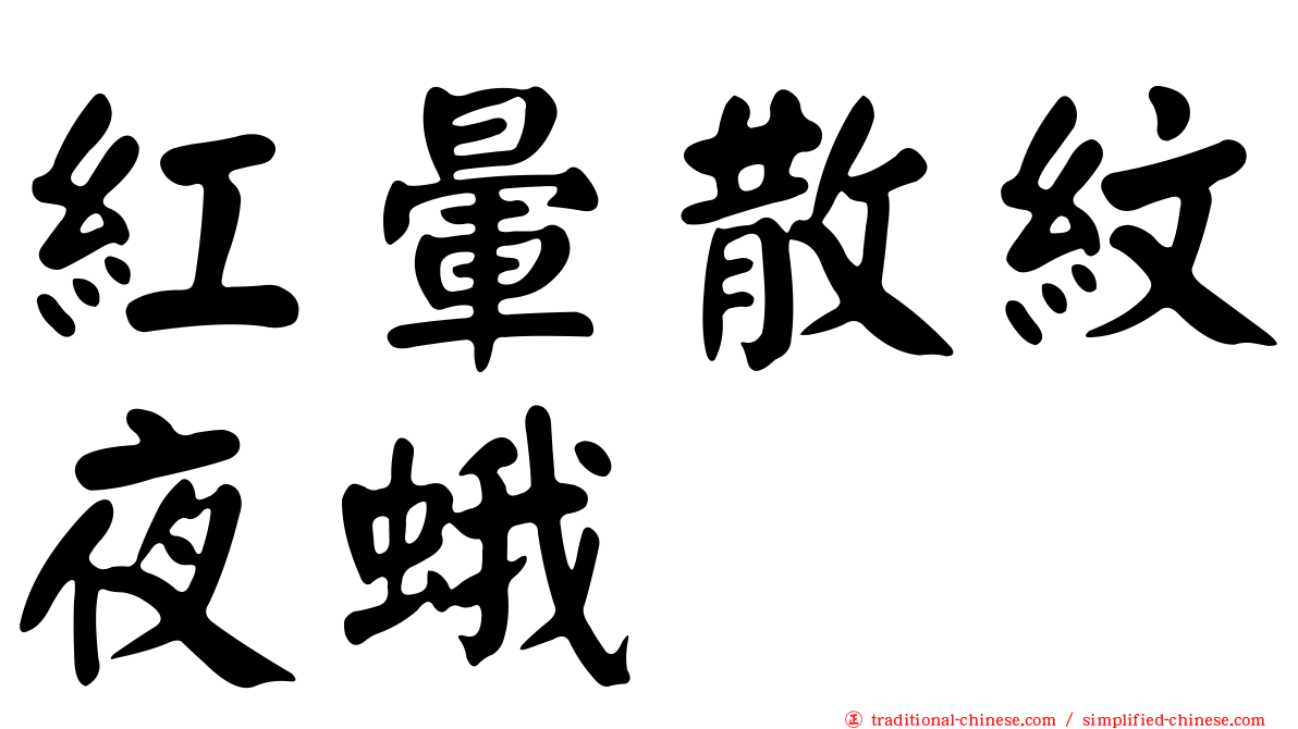 紅暈散紋夜蛾