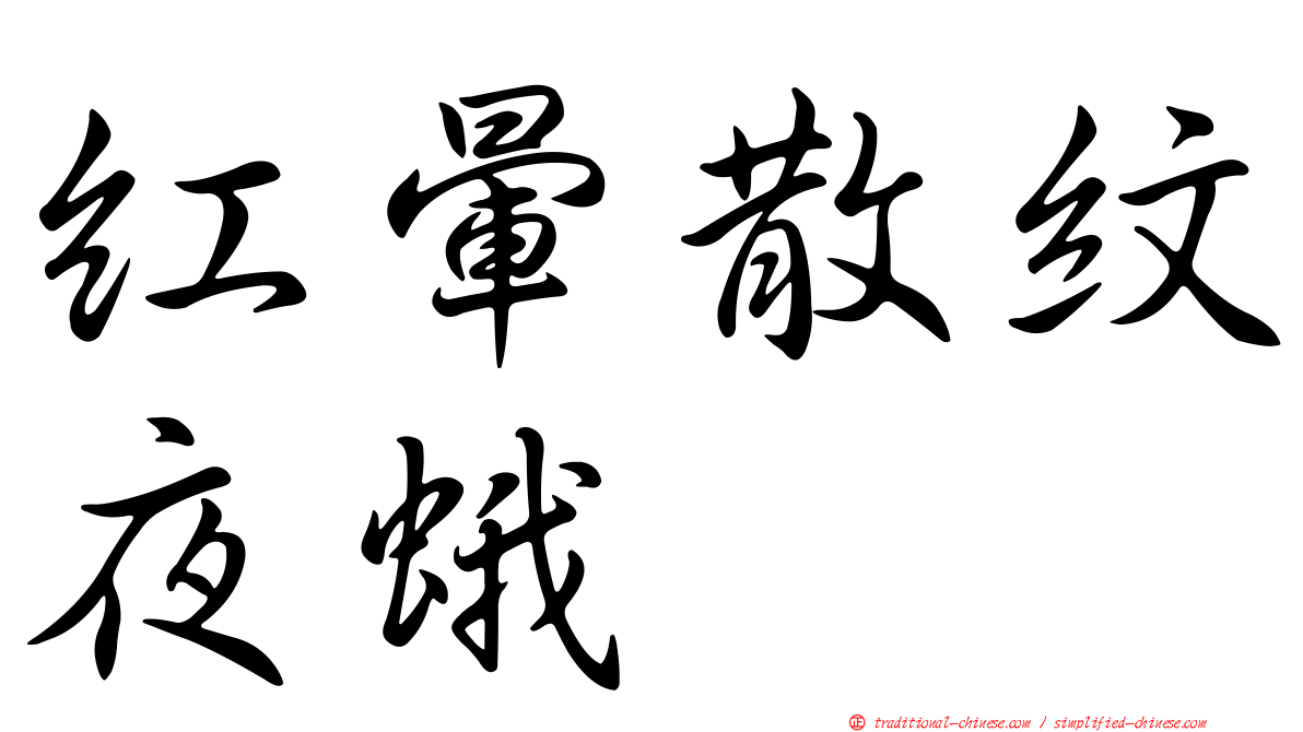 紅暈散紋夜蛾