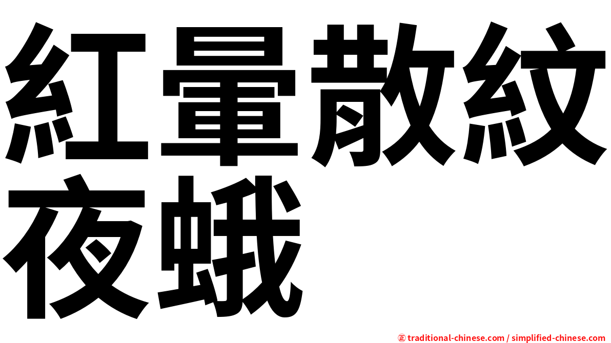紅暈散紋夜蛾