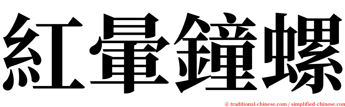 紅暈鐘螺 serif font
