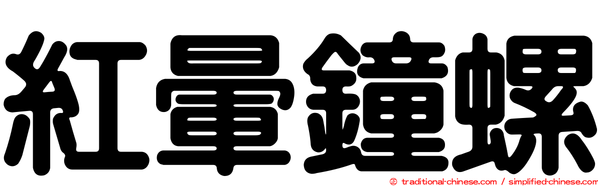 紅暈鐘螺