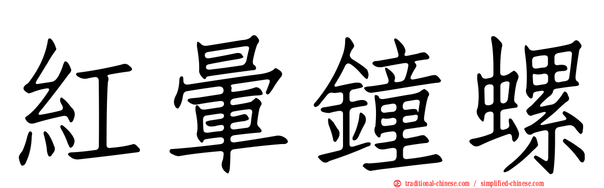 紅暈鐘螺