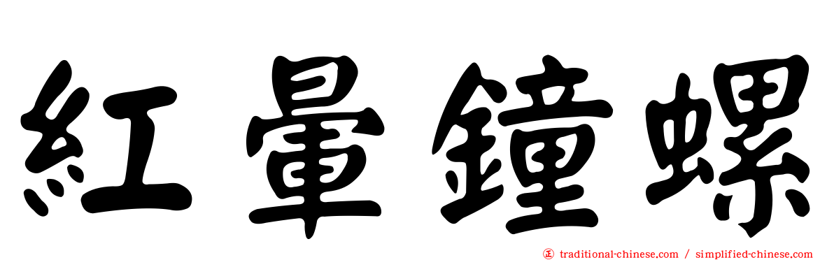 紅暈鐘螺