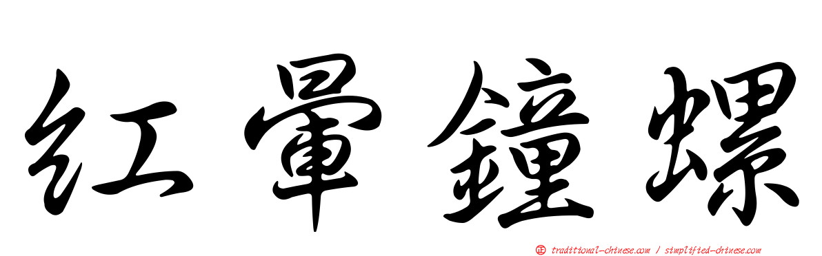 紅暈鐘螺