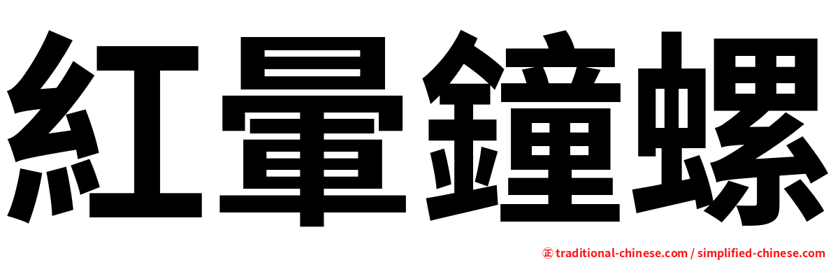 紅暈鐘螺