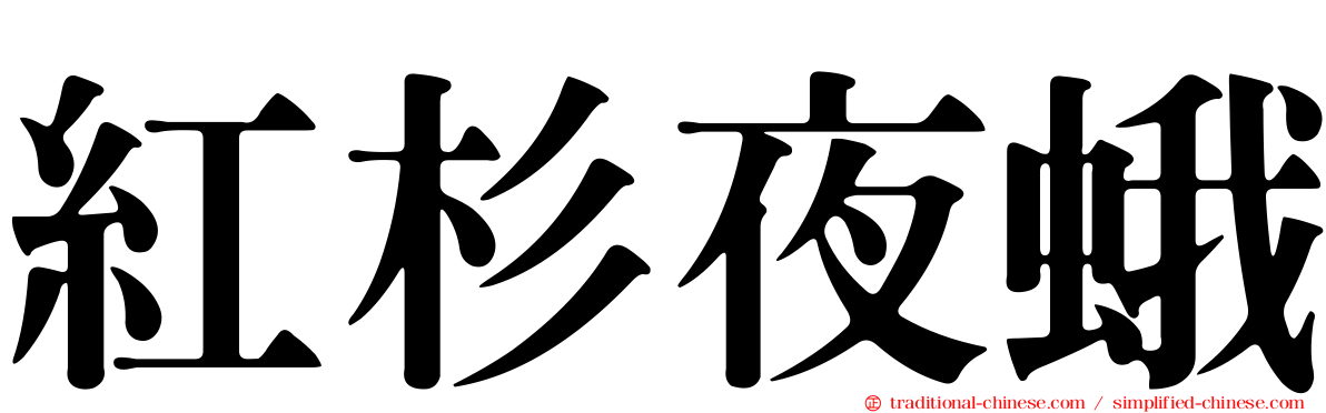 紅杉夜蛾