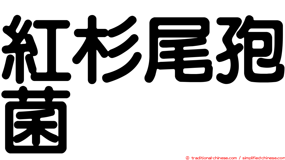 紅杉尾孢菌
