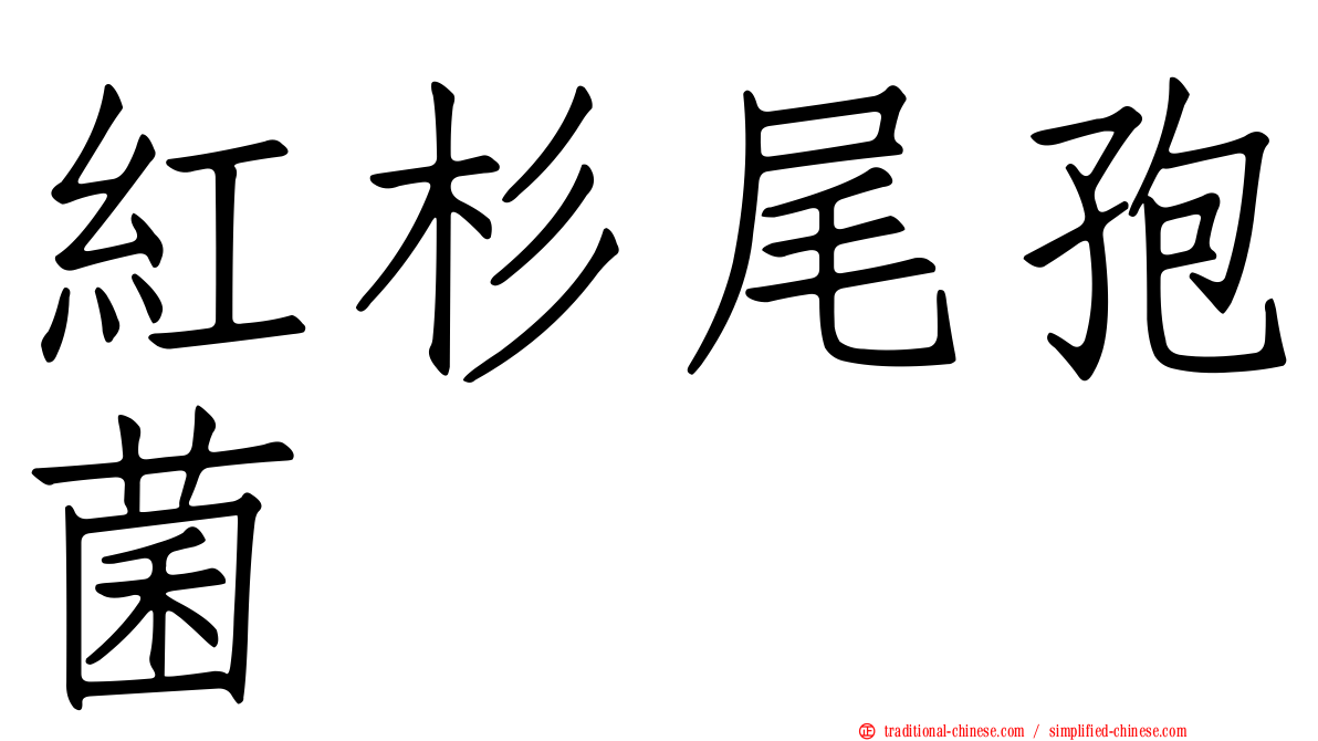 紅杉尾孢菌