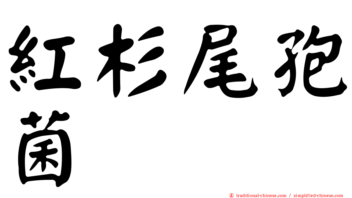 紅杉尾孢菌