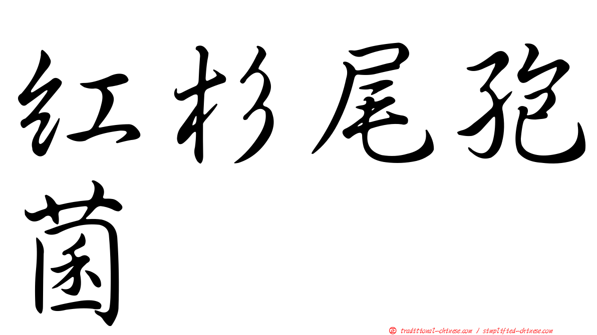 紅杉尾孢菌