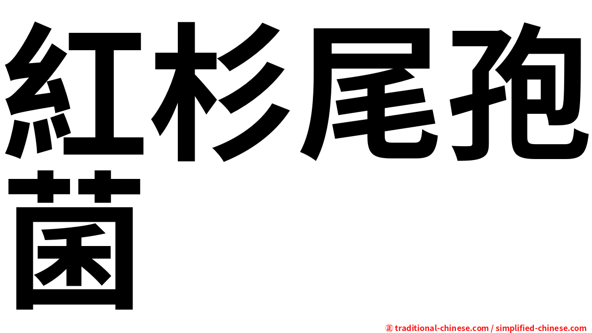 紅杉尾孢菌