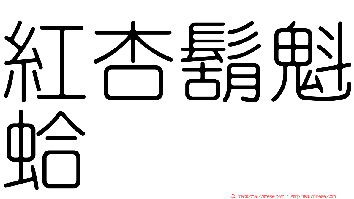 紅杏鬍魁蛤
