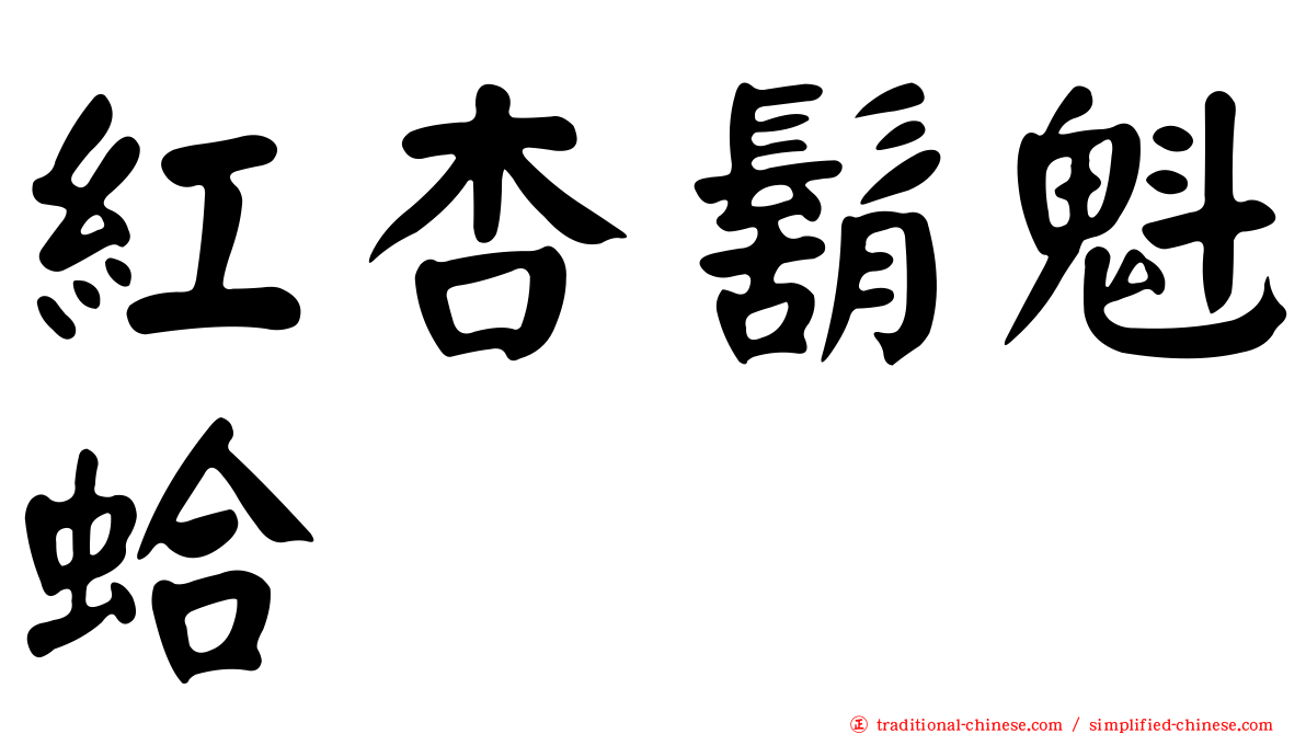 紅杏鬍魁蛤