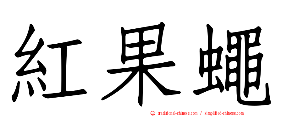 紅果蠅