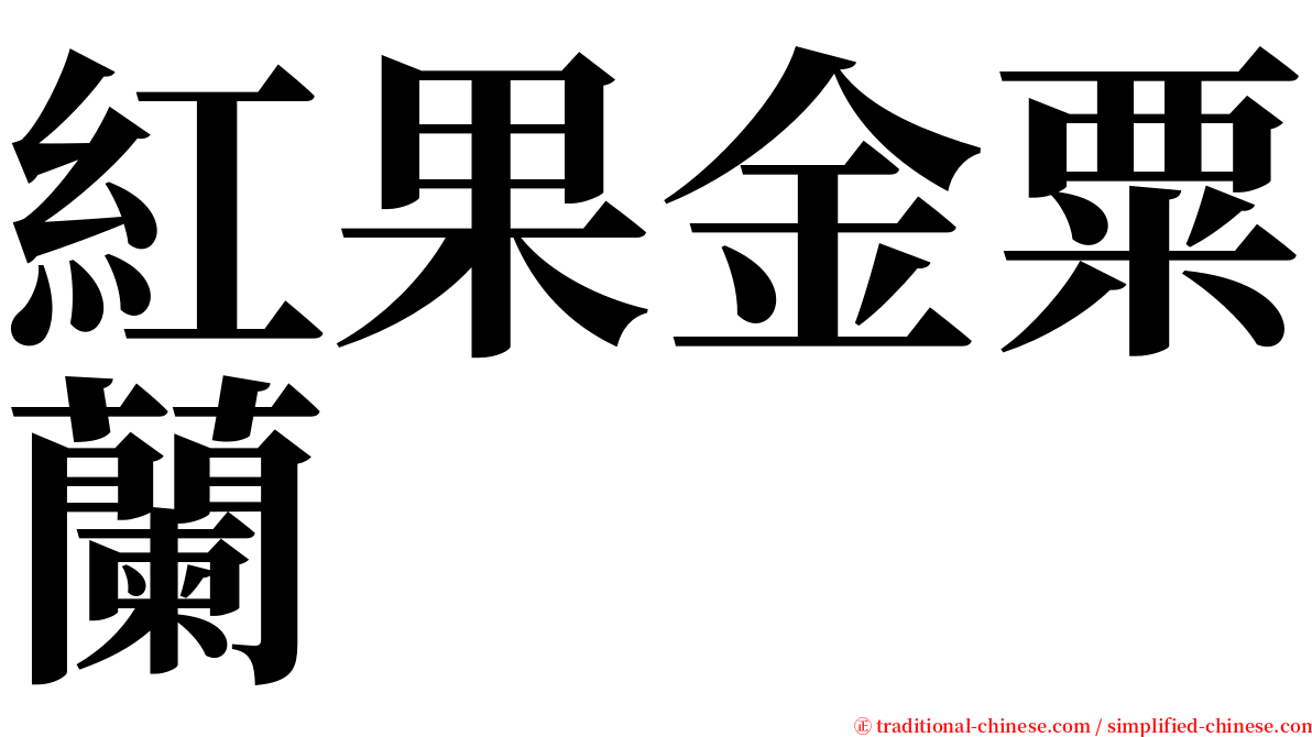 紅果金粟蘭 serif font