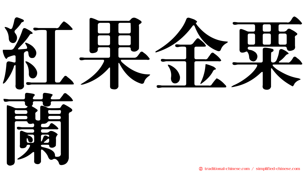 紅果金粟蘭