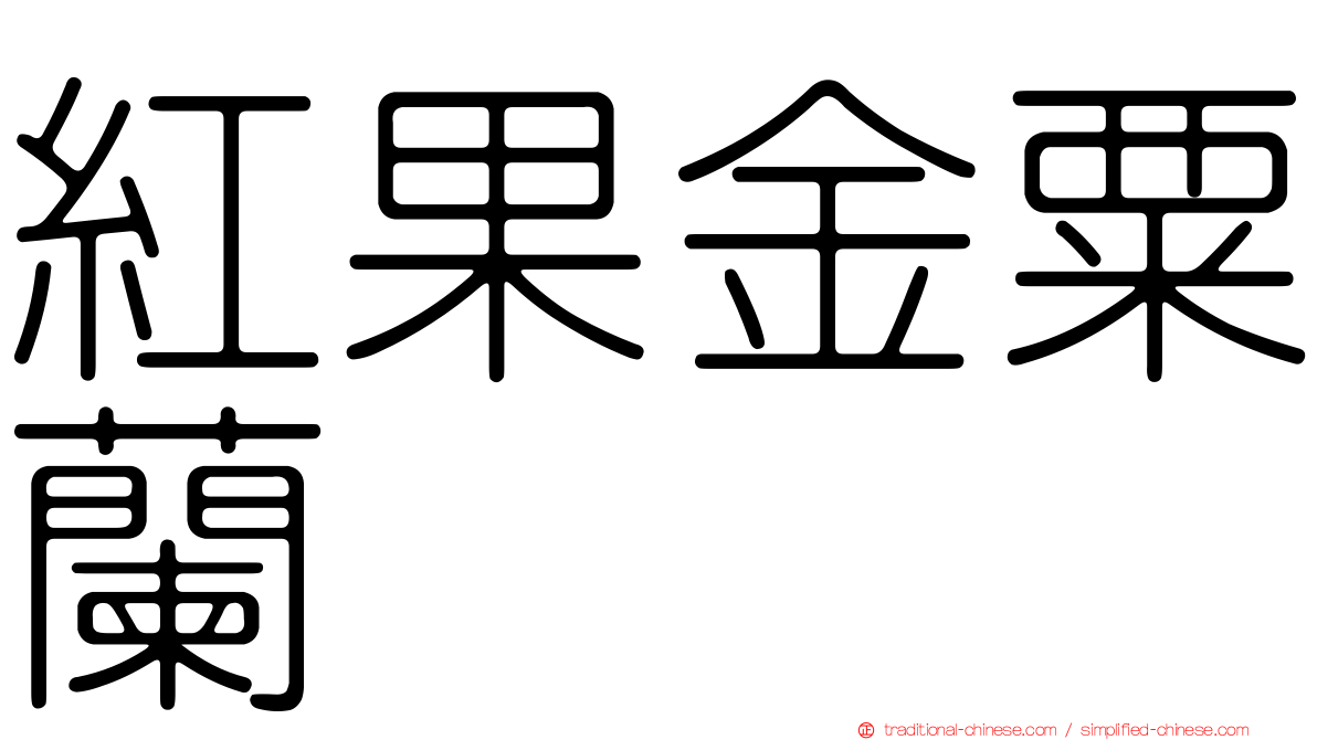 紅果金粟蘭