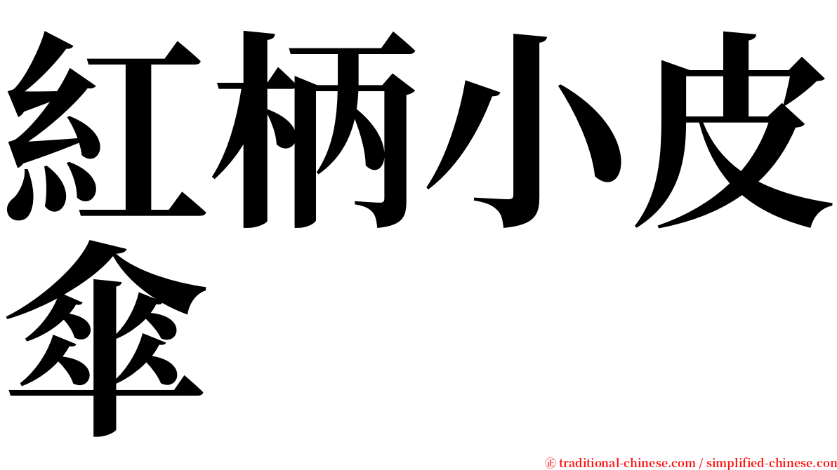 紅柄小皮傘 serif font