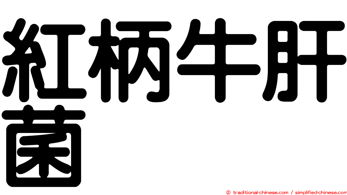 紅柄牛肝菌