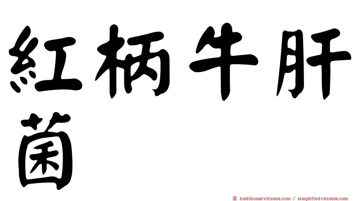 紅柄牛肝菌