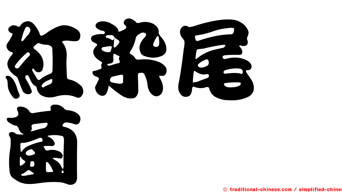 紅染尾孢菌