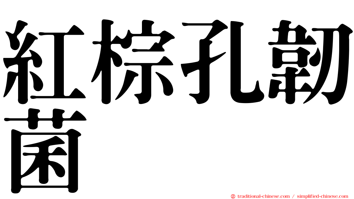 紅棕孔韌菌