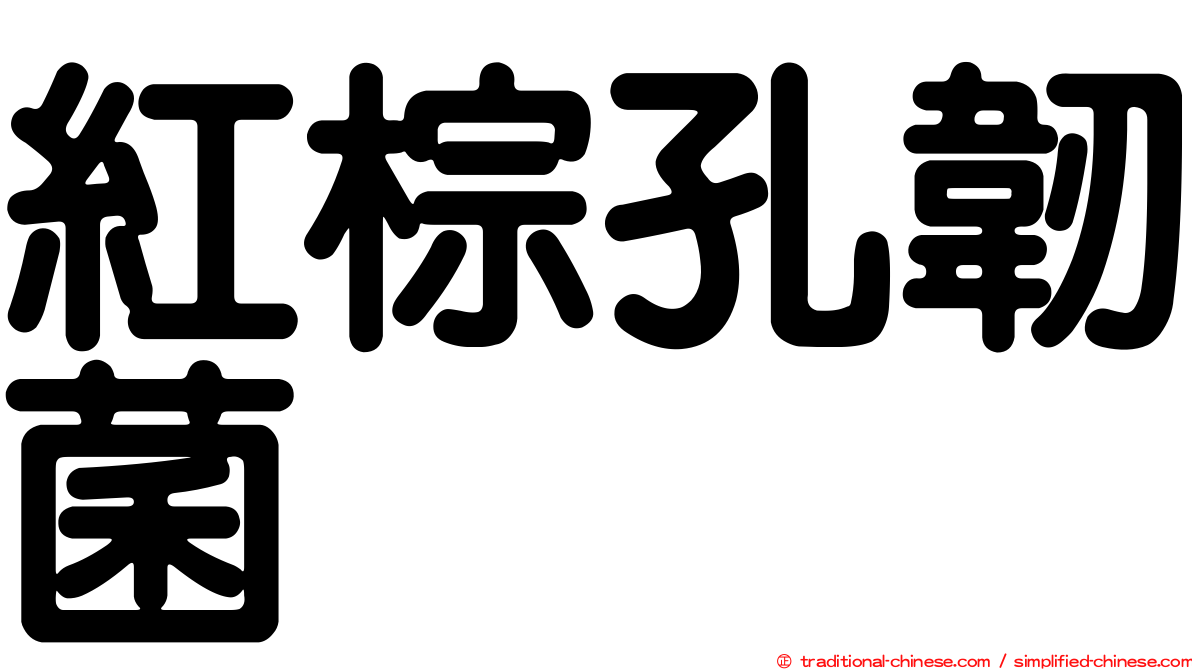 紅棕孔韌菌