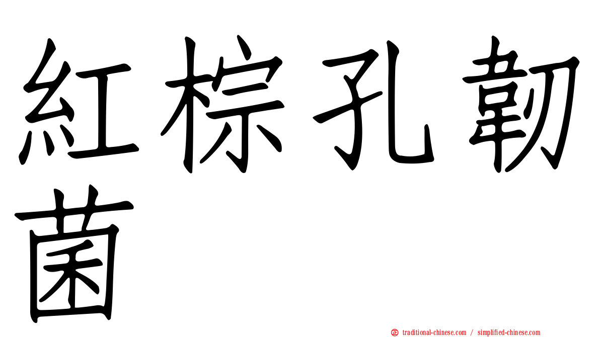紅棕孔韌菌