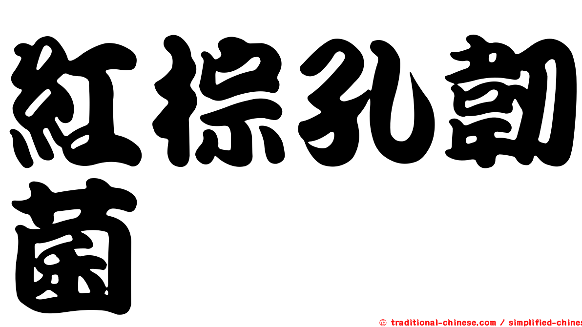 紅棕孔韌菌