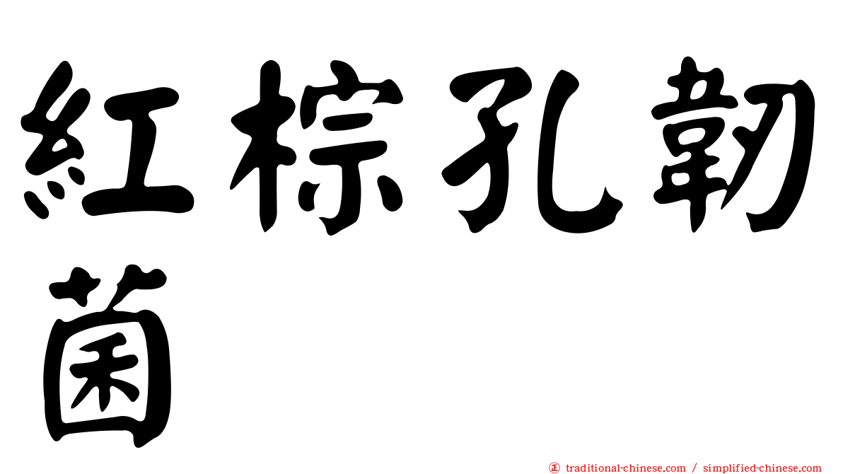 紅棕孔韌菌
