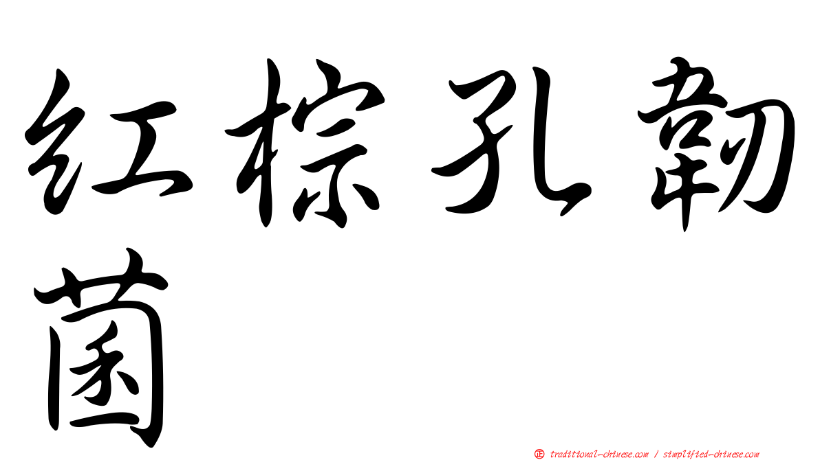 紅棕孔韌菌