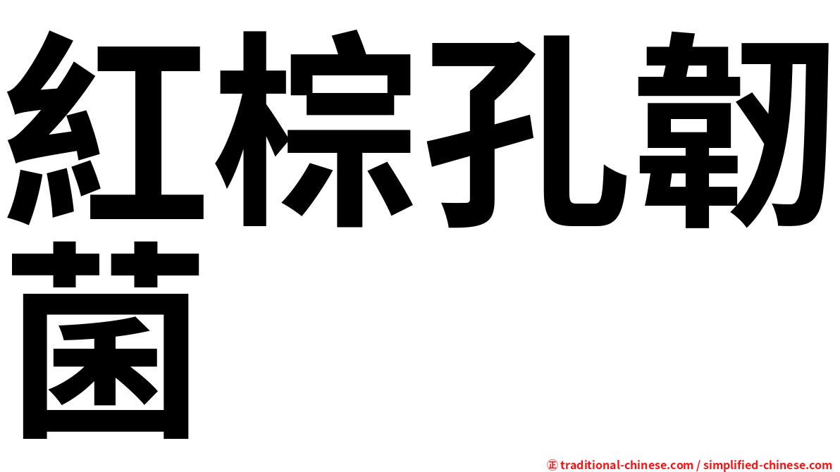 紅棕孔韌菌