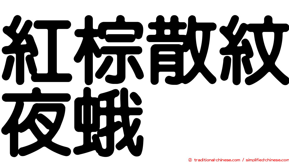 紅棕散紋夜蛾