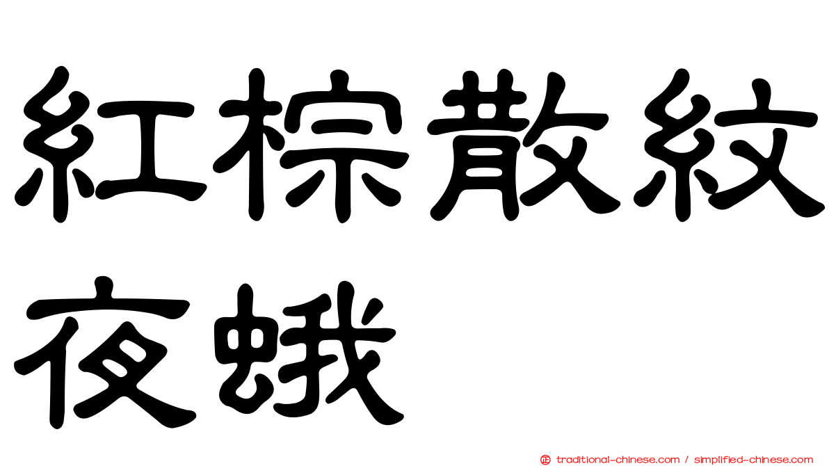 紅棕散紋夜蛾