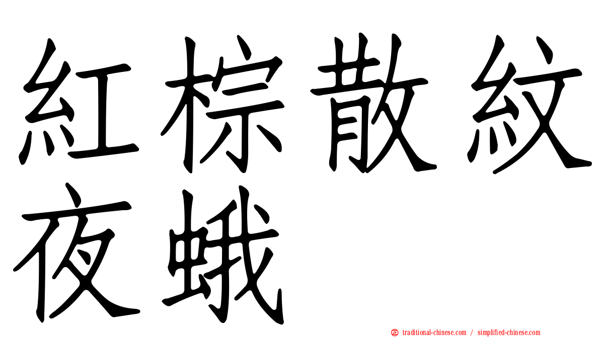 紅棕散紋夜蛾