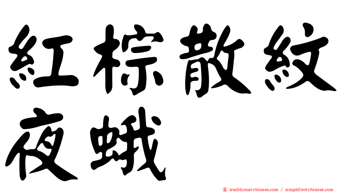 紅棕散紋夜蛾