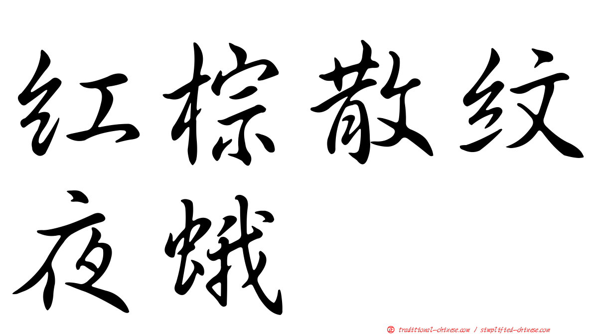 紅棕散紋夜蛾