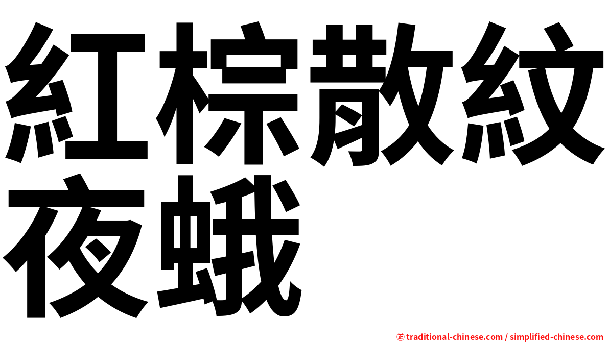 紅棕散紋夜蛾