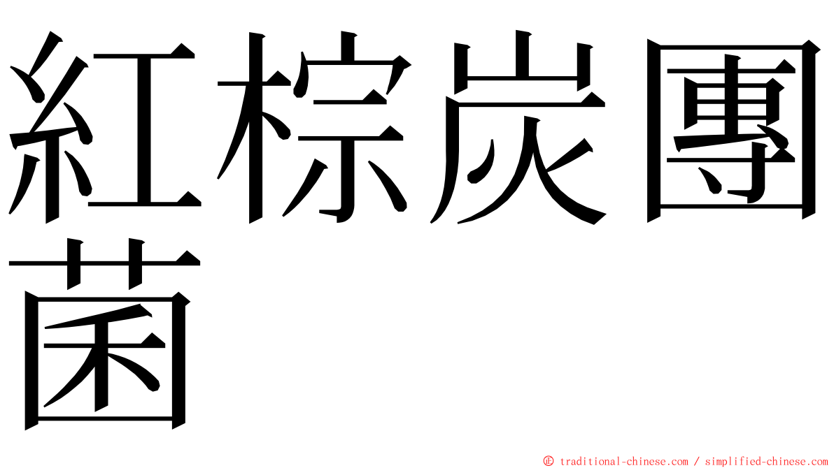 紅棕炭團菌 ming font