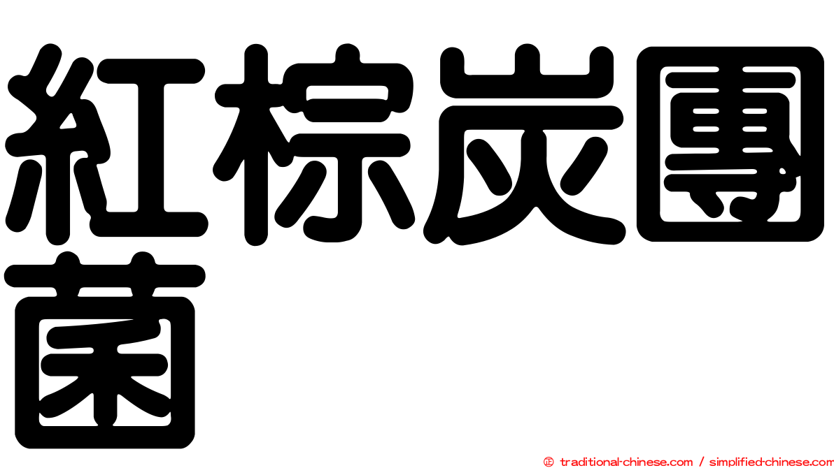 紅棕炭團菌