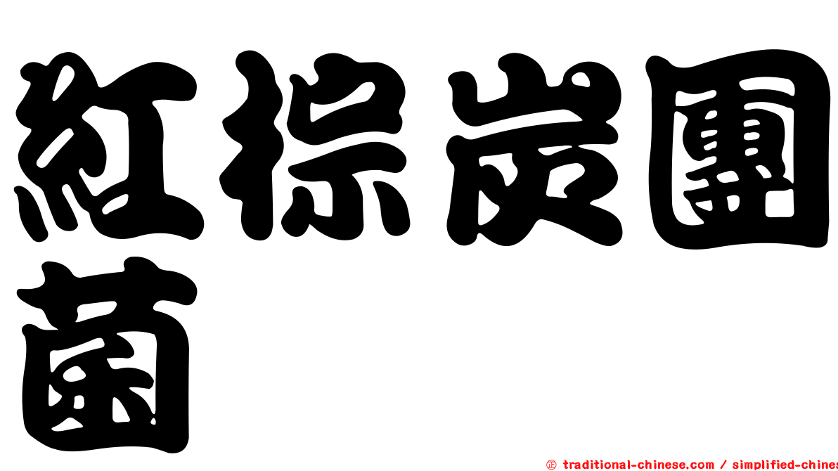 紅棕炭團菌