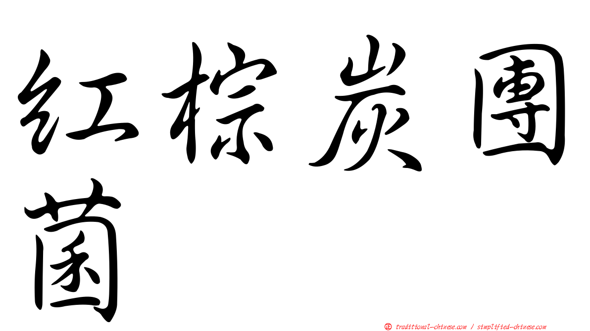紅棕炭團菌