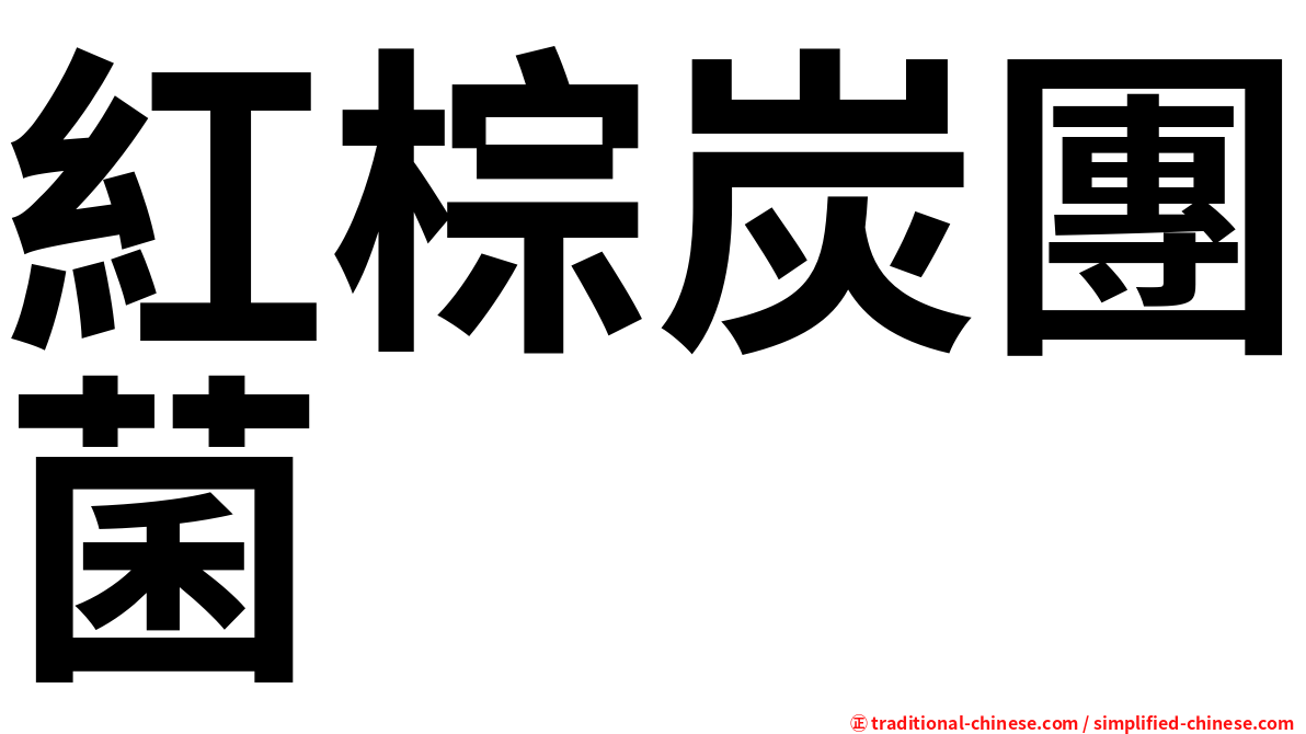 紅棕炭團菌