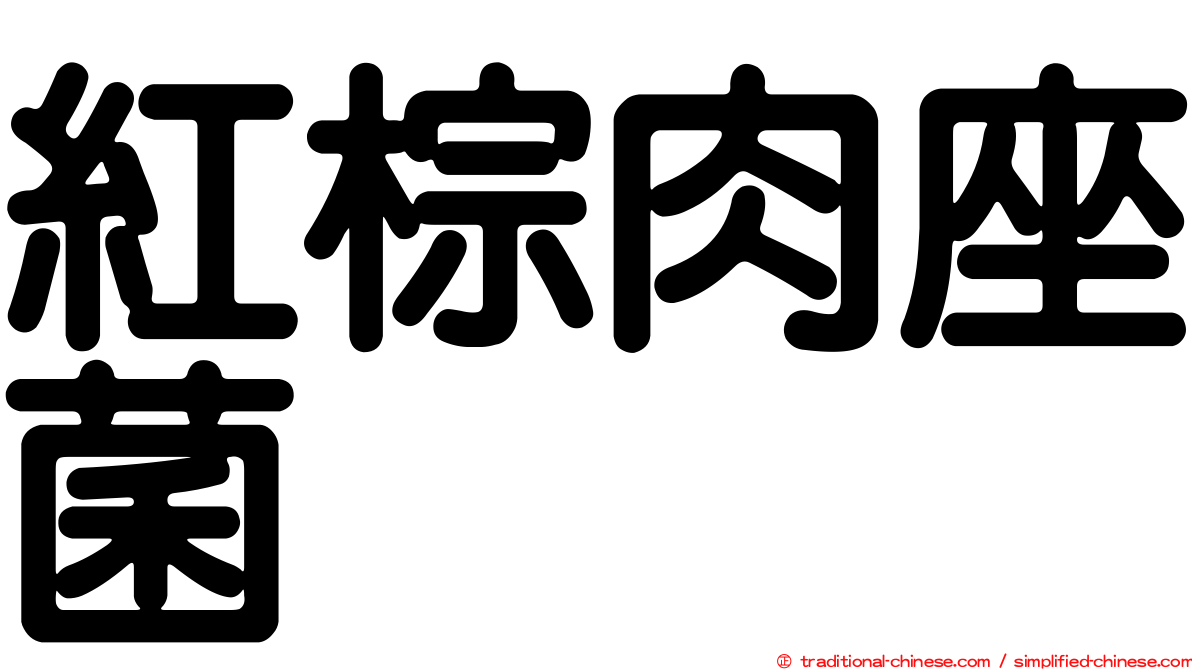 紅棕肉座菌