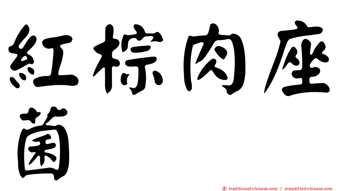 紅棕肉座菌
