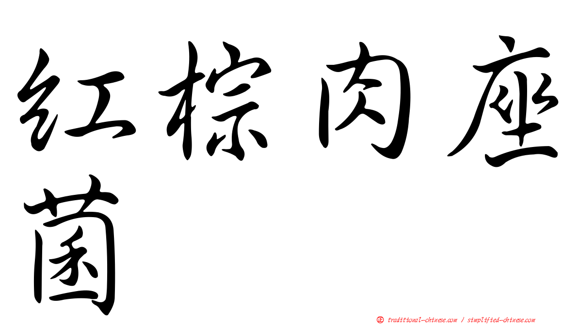 紅棕肉座菌