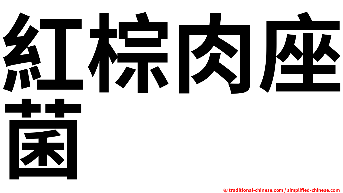紅棕肉座菌