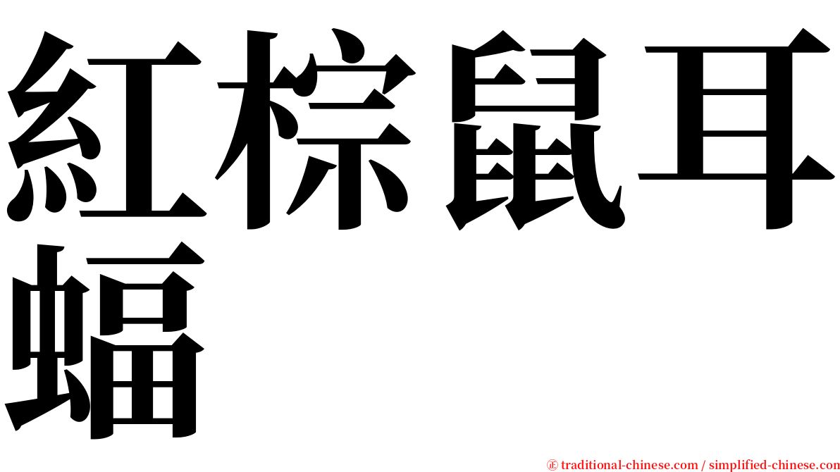 紅棕鼠耳蝠 serif font
