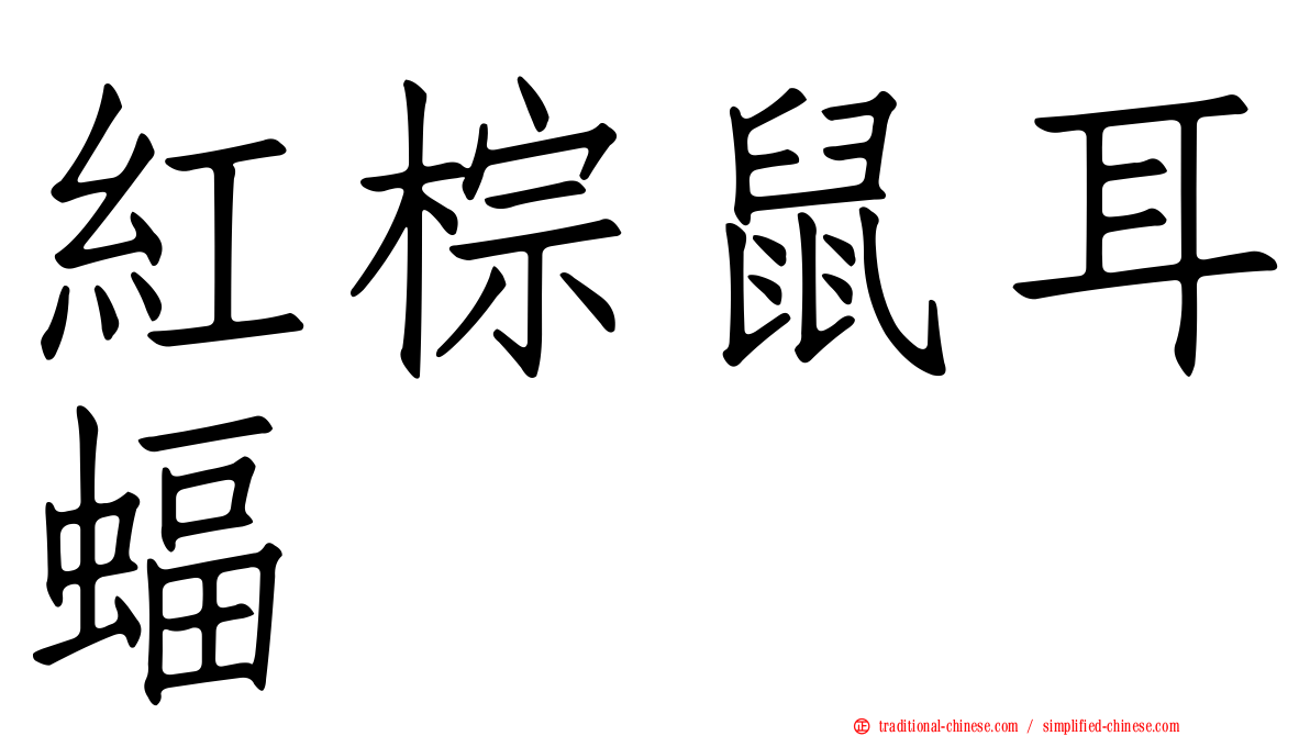 紅棕鼠耳蝠